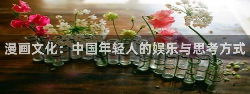羞羞漫画在线版：漫画文化：中国年轻人的娱乐与思考方式