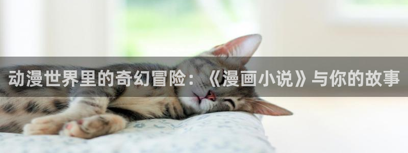 羞羞漫画18+：动漫世界里的奇幻冒险：《漫画小说》与你的故事