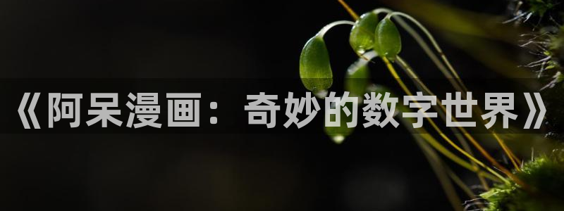 羞羞漫画火影本子：《阿呆漫画：奇妙的数字世界》