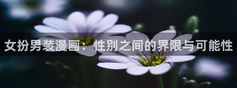 静香羞羞漫画：女扮男装漫画：性别之间的界限与可能性