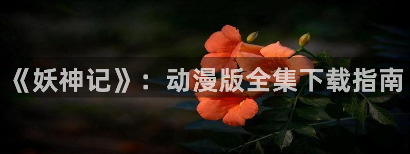 成人啪啪动漫羞羞漫画网站：《妖神记》：动漫版全集下载指南