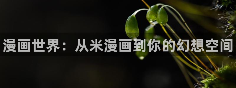 汗汗漫画羞羞漫画：漫画世界：从米漫画到你的幻想空间